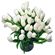 Белые тюльпаны. Тюльпаны - нежные, утонченные цветы для любителей весны и романтики. Сезон тюльпанов длится, как правило, с февраля по апрель. В остальное время их наличие ограничено, поэтому заказ лучше оформлять заранее.. Перу